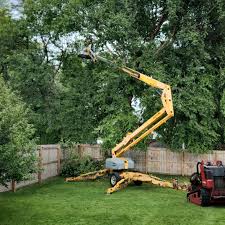 Best Arborist Consultation Services  in Elkhorn City, KY